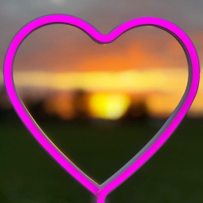 WhatsApp Image 2025-10-13 at 17.33.49_3d381531